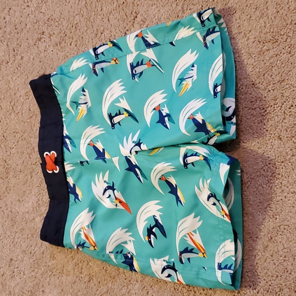 Cat & Jack Other - Cat & Jack Boy Swim Trunks Size 4 T